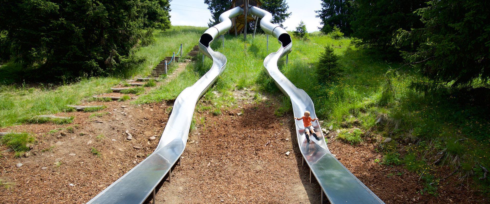 Giant's slide