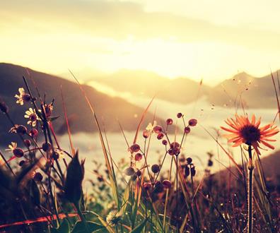 berg-und-blume-3-platz-francesco-sommacal-sonnenaufgang