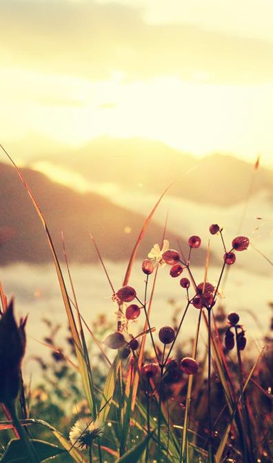 berg-und-blume-3-platz-francesco-sommacal-sonnenaufgang
