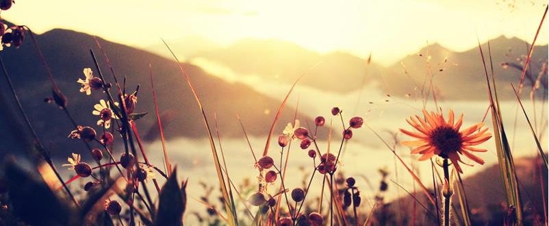 berg-und-blume-3-platz-francesco-sommacal-sonnenaufgang