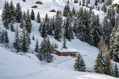 09-untere-gewingesalm-winter-guus-reinartz-komprimiert