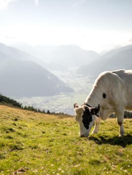 patrick-schwienbacher-rosskopf-sterzing-vipiteno-44