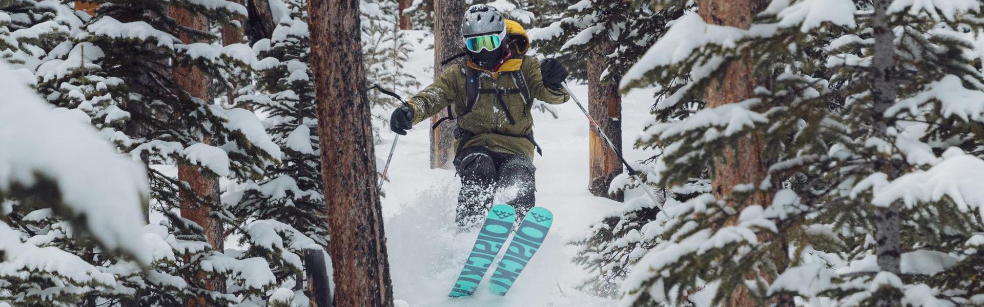 person-skiing-between-trees-3680085